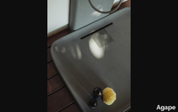 PETRA-Shower-tray-Agape-443515-relc1fc614e.png thumb image