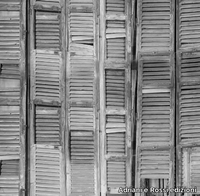 BALY-Adriani-e-Rossi-edizioni-320333-rel59f2959f.jpg thumb image