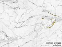 marble-gold-adriani-e-rossi-edizioni-378193-relb0489c8.jpg thumb image