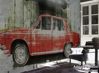 cars-adriani-e-rossi-edizioni-318543-rel6a6c30a6.jpg thumb image