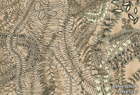season-1-kw1806-affreschi-affreschi-482357-relda9ec725.jpg thumb image
