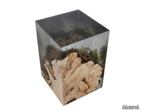 STUMP-HORNBEAM-alcarol-435311-rel82df5e71.jpg thumb image