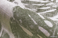 PALM-LEAVES-Aldeco-Interior-Fabrics-330098-rel9af0bc76.jpg thumb image