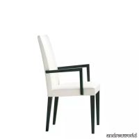 anna_andreu_world_SO1371_armchair_1.webp thumb image