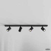 Functional light