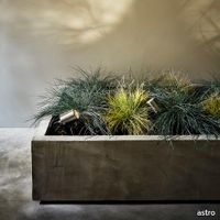 93866-8301-skyespike-insitu.jpg thumb image