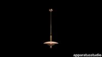 d6cb2f6bbc66--APPARATUS-2021-ACTIV-SIGNAL-Y-PENDANT-1-b696ab.jpeg thumb image