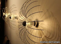 SPIDER-Aromas-del-Campo-275637-rel938d7f75.jpg thumb image