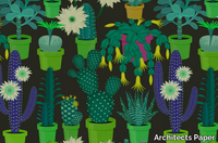 CACTUS-GARDEN-Architects-Paper-a-brand-of-A-S-Création-Tapeten-374108-rele4927093.jpg thumb image