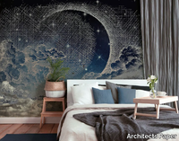 MOON-SKY-Architects-Paper-457194-relf88a01b.jpg thumb image