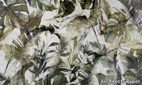 PALM-LEAVES-Architects-Paper-527999-rela0372747.jpg thumb image