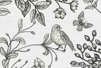 birdy-architects-paper-a-brand-of-a-s-creation-tapeten-354498-relc179eb96.jpg thumb image
