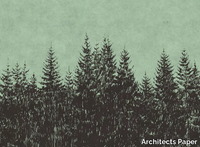 black-forest-architects-paper-a-brand-of-a-s-creation-tapeten-354502-rel2079f779.jpg thumb image