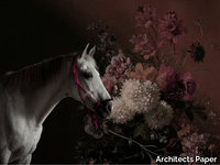 horses-architects-paper-a-brand-of-a-s-creation-tapeten-354520-rele936f909.jpg thumb image