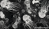 jellyfish-ii-architects-paper-a-brand-of-a-s-creation-tapeten-528002-rel1ba4ce16.jpg thumb image