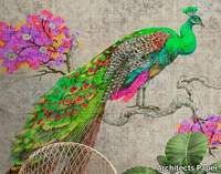 peacock-architects-paper-a-brand-of-a-s-creation-tapeten-366191-rel74ab82a3.jpg thumb image