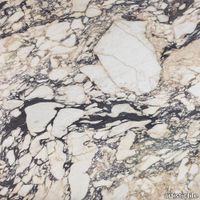 PLP_Calacatta_Viola_Marble_SLCVIOLAH2_1000x.jpg thumb image