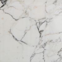 p_Arabescato_Corchia_SARCP18_5.jpg thumb image