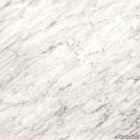 plp_BiancoCarrara_Polished_Stone_Slab_SLBCCP3_1000x.jpg thumb image