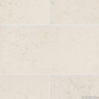 plp_Bianco_Antico_Polished_SBAP1224_01.jpg thumb image