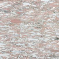 plp_Norwegian_Rose_SLNORRP2.JPG thumb image