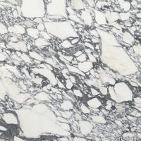 plp_Slabs_ArabescatoCorchia_SLARCOH2_1000x.jpg thumb image