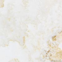 plp_Vanilla_Onyx_SLVONXCCP2.JPG thumb image