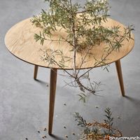 bruunmunch_furniture_PLAYround_Coffee_Table_Oak_NaturalOil.jpg?v=1696051031 thumb image