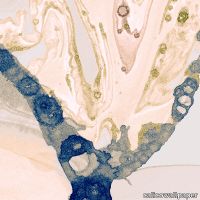 24x24_Crest.jpg thumb image