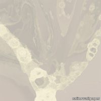 24x24_Shift.jpg thumb image