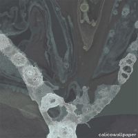 24x24_Umbra.jpg thumb image