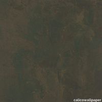 Calico-Wallpaper_Perception_Patina_Silhouette-1280x1280.jpg thumb image