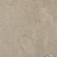 Calico-Wallpaper_Perception_Untouched_Silhouette-1280x1277.jpg thumb image
