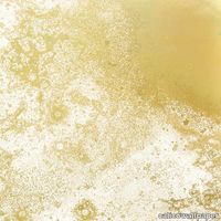 Inverted-Spaces_Corona.jpg thumb image