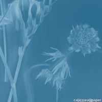 Sunprints_Serene_24x24-Web.jpeg thumb image