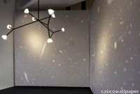 calico-prism-1280x865.jpg thumb image