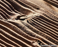 CarreSol-Editions_PANNEAU-DECORATIF-DUNE-DU-PILAT_6492fabcP.jpeg thumb image