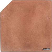 30010-1-CUT-high-fired-handcrafted-terra-cotta-floor-tile-1_medium.jpg thumb image