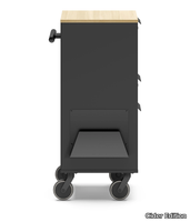 CADDY-T-S-Cider-Edition-576318-relcde98d26.jpg thumb image