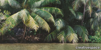 AMAZON-Creativespace-426109-rel31503107.jpg thumb image