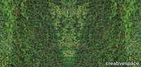 GRASS-CREATIVESPACE-363351-rel7b21caf2.jpg thumb image