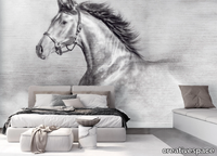 HORSY-Creativespace-298545-rela6c74055.jpg thumb image