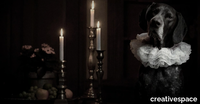 JOY-Creativespace-580994-rel5d590043.jpg thumb image