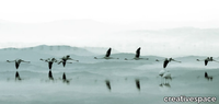 LEAK-Creativespace-507479-rel541276e3.jpg thumb image