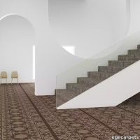 5-RF5575710.webp thumb image