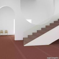 5-RF55001701.webp thumb image
