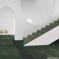 5-RF5520705.webp thumb image