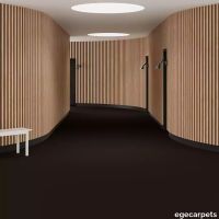 6-0573185.webp thumb image
