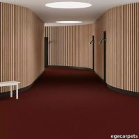 6-069145048.webp thumb image