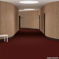 6-069245048.webp thumb image